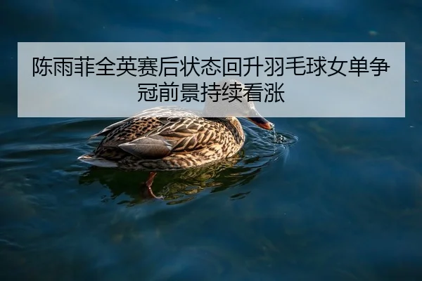 陈雨菲全英赛后状态回升羽毛球女单争冠前景持续看涨